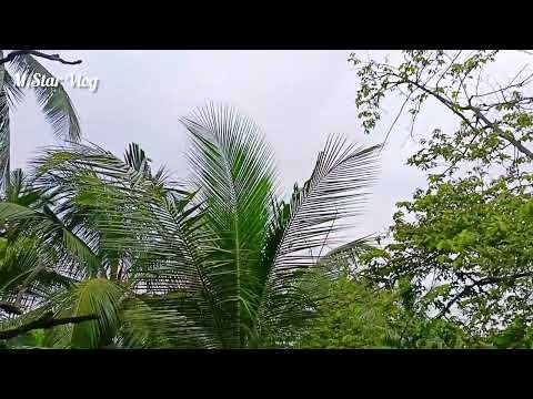 Borsar Akas।। Vlog।।Vlog Video।।