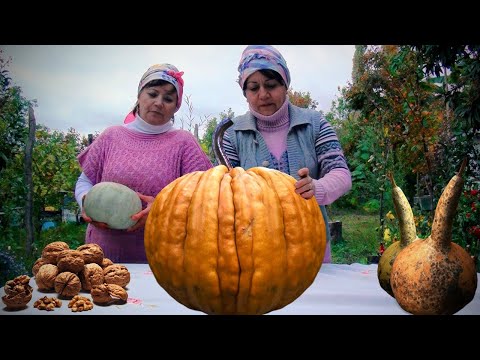 Making Pumpkin Rice, Patties and  Dessert in the Village | 1 hour of PUMPKIN RECIPES