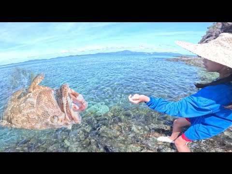 Spot na taguan Ng Giant Grouper natagpuan/catch&Cook& Sale!