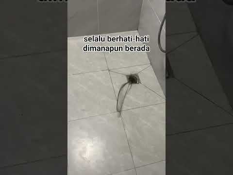 Apakah Ituuu