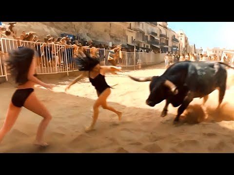 When Animal Attacks Go Rampage Moments Caught On Camera