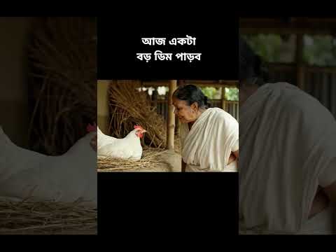 আজ একটা বড় ডিম পাড়ব 🫵😀#viral #funny #trending
