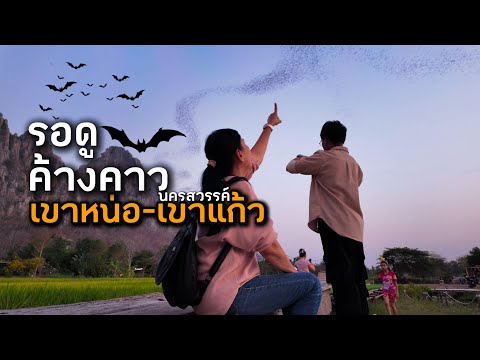 ตื่นเต้นสุดๆ! ครั้งแรกกับการรอดูค้างคาวออกจากถ้ำ|เขาหน่อ-เขาแก้ว|นครสวรรค์