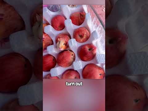 These are not apple!