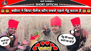 गेहूं कटाई अजय रंगीला उनकी बीबी कैसे कर रहे हैं / Ajay_Rangila_Vlog