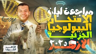🥇 مش هتحتاج كتاب تاني! البيولوجيا الجزيئية كاملة في مراجعة واحدة | ثانوية عامة وأزهرية