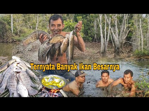 MELIMPAH‼️KUBANGAN RAWA INI BANYAK IKAN BESARNYA