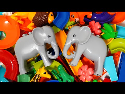 Satisfying Building Blocks Marble Run Danger! Block coaster at Elephant and Giraffe Safari Park