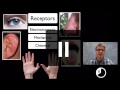 Neuroscience Concepts and Functions