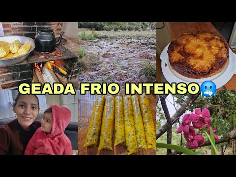 EITA QUE GEADA VEIO🥶DICAS PRO LAR,TORTA DE 🍍 FOGAO A LENHA PRA AQUECER.NOSSA FAMILIA👨‍👩‍👧