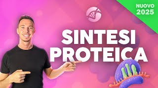Sintesi Proteica: trascrizione, traduzione e RNA | Corso di Biologia Cellulare 2025