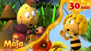 🪐 Fliegt die Wiese wirklich? - Die Biene Maja🐝🍯🐝 - FULL COMPILATION