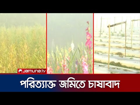 সিরাজগঞ্জের উল্লাপাড়ায় পরিত্যাক্ত জমিতে চাষাবাদ | Sirajganj | Jamuna TV