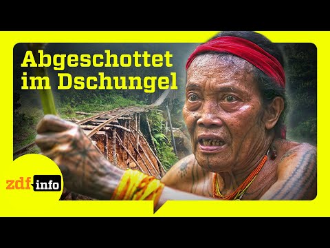 Wie die Gier nach Palmöl Indonesiens indigene Völker verdrängt | ZDFinfo Doku