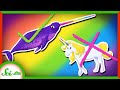 Exploring Real-Life Unicorns