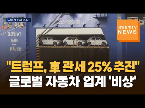 트럼프 "자동차 관세는 25% 정도"…국내외 완성차 기업 대응 본격화