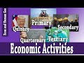 Understanding Economic Sectors
