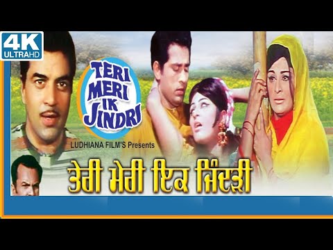 Teri Meri Ek Jindri || New Punjabi song