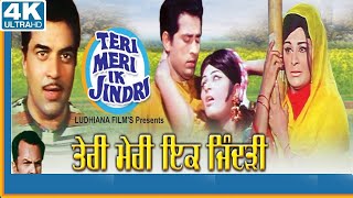 Teri Meri Ek Jindri || New Punjabi song