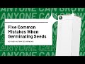 Seed Germination and Care Concepts