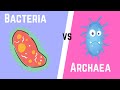 Understanding Archaea and Modern Classification