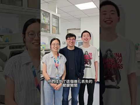 全球首例！哺乳動物耳廓再生，人類器官再生不是夢 | 雅桑了嗎