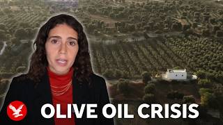 YouTube video thumbnail: Why are Olive Trees in Italy Dying?
