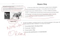 Revising and Editing Strategies
