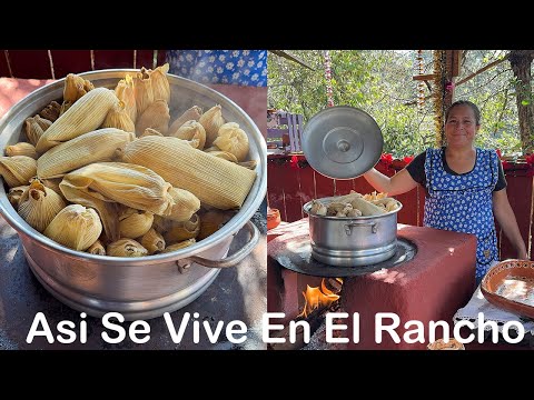 Cómo Hacer Tamales Suaves y Esponjaditos Tamales de Pollo En Chile Verde Buenísimos