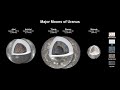 Exploring Life on Uranus' Moons
