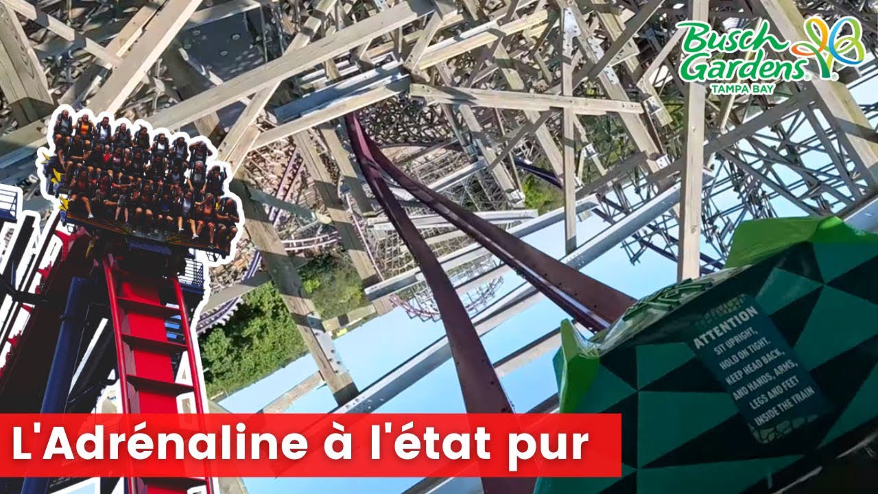 On teste IRON GWAZI, le coaster hybride RMC de Busch Gardens Tampa