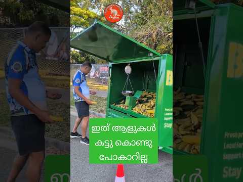 ദിവസേന 50 ലക്ഷം വാഴപ്പഴം ആണ് കഴിക്കുന്നത് 😂 #banana