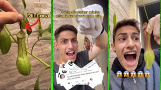 Alimentei minha PLANTA CARNÍVORA com uma BARATA e uma minhoca!😱