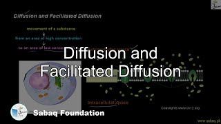 Diffusion and Facilitated Diffusion