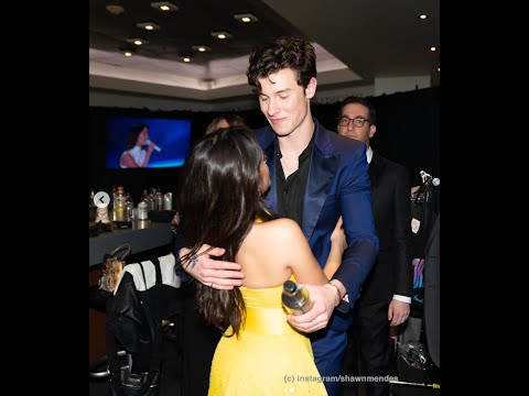 Shawn and camila 2018