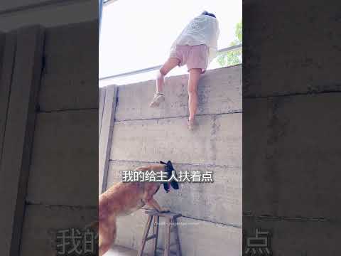This Dog Surprised the Girl by Helping Instead of doing big mistake