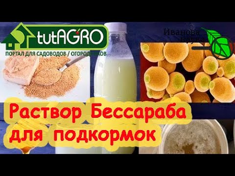 Раствор бессараба для подкормки растений. Мнение биолога. Вместо байкала, востока и прочих подобных.