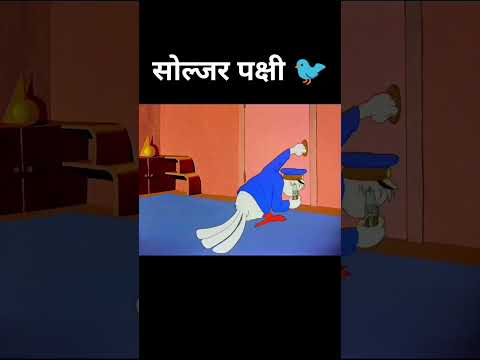 सोल्जर पक्षी