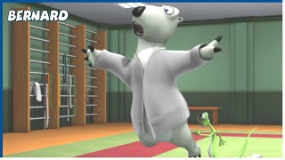 JUDO | Bernard  | 110' Compilation