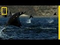 Rays and Their Gatherings