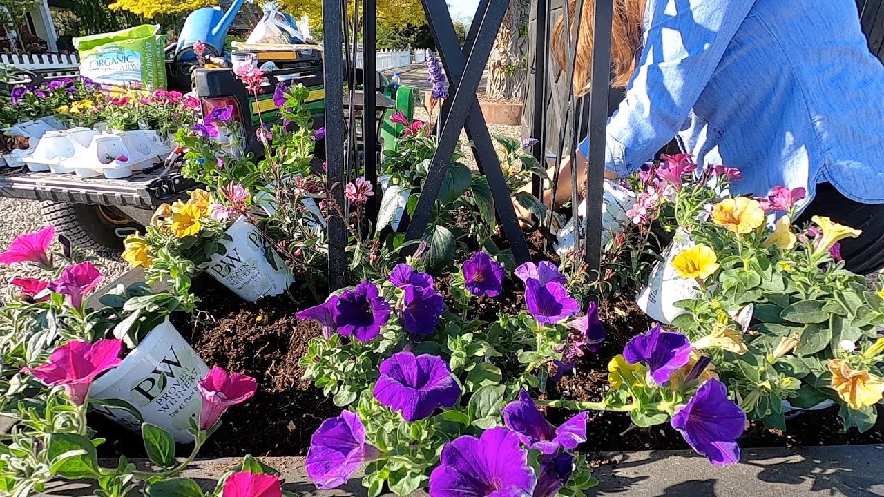 Planting Our Entryway Containers with Some Fun Color!
