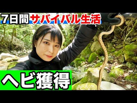 【100均サバイバル#3】ヘビと遭遇したので捕まえて食料にします【2日目 朝】
