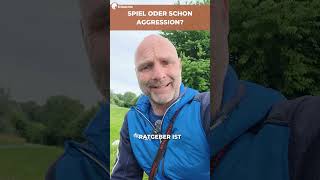 Harmlosem Spiel oder ernsthafter Aggression? 🐕‍🦺⚡