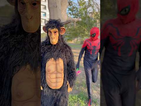 غوريلا تجري ورا سبايدر مان 😱 #spiderman #shorts