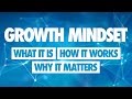 Exploring the Fundamentals of Growth Mindset