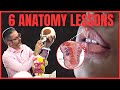 Facial Anatomy and Aesthetics Concepts