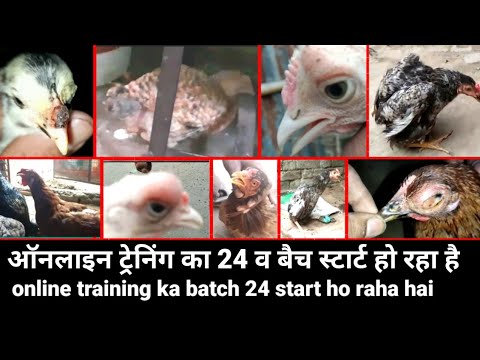 ऑनलाइन ट्रेनिंग का बैच 24 शुरू हो रहा है //online training ka batch 24 start ho raha hai