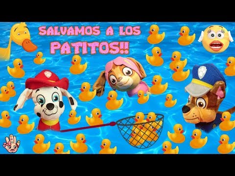 La Patrulla Canina SALVA a los PATITOS en la Piscina / Juguetes de Agua