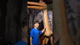 Dinosaurs Theme Park  #shorts