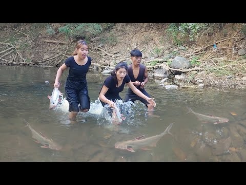 Catch two fish in the river for survival food, Fish curry spicy for dinner, Survival cooking